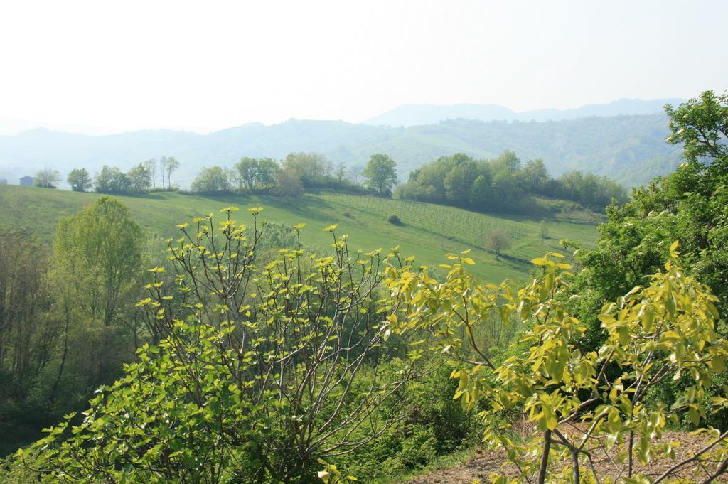 Casa Dell' Abbondanza B&B Agriturismo Vigoleno Eksteriør bilde