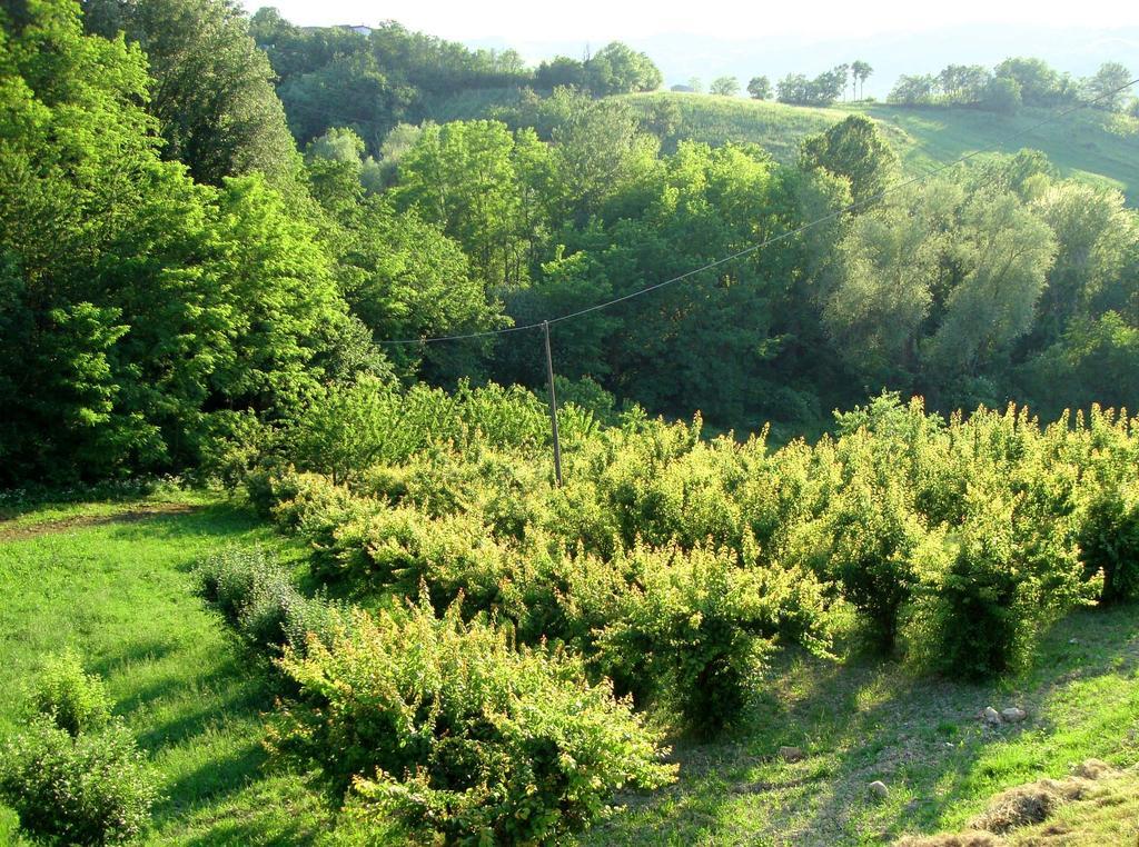 Casa Dell' Abbondanza B&B Agriturismo Vigoleno Rom bilde