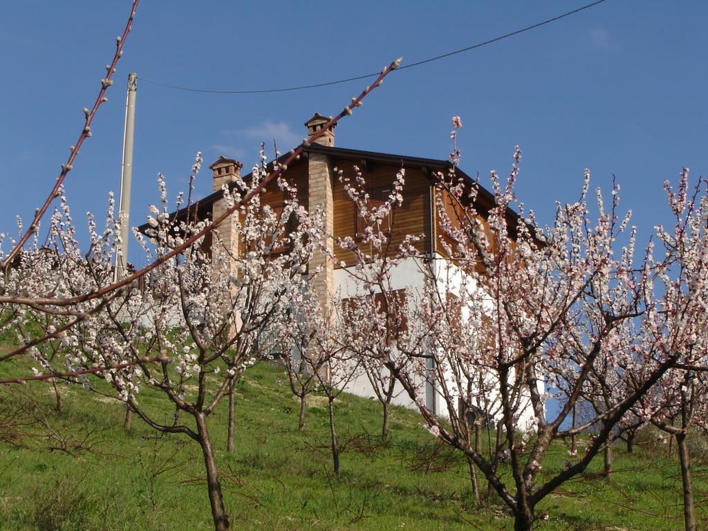 Casa Dell' Abbondanza B&B Agriturismo Vigoleno Eksteriør bilde