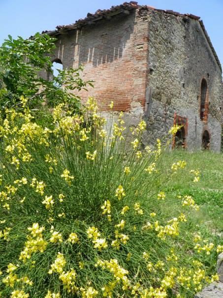 Casa Dell' Abbondanza B&B Agriturismo Vigoleno Eksteriør bilde