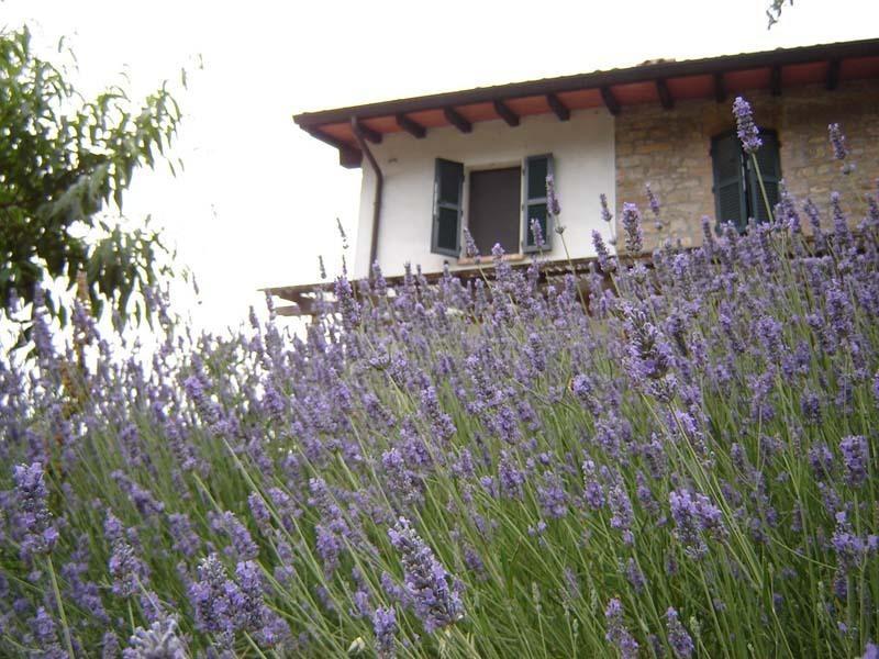 Casa Dell' Abbondanza B&B Agriturismo Vigoleno Eksteriør bilde